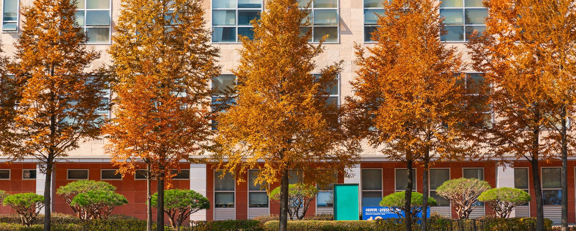 가을캠퍼스