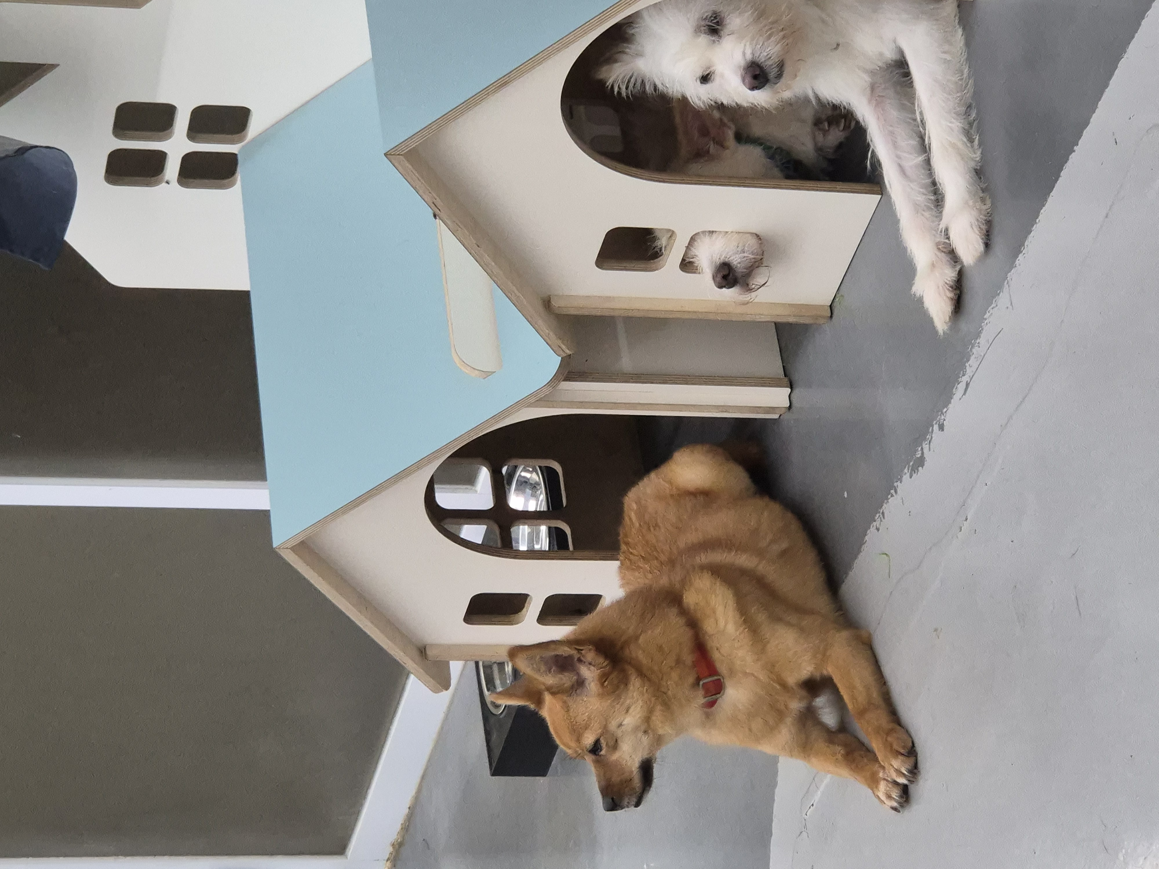 Gyeyang Rotaract Club Activity Photo